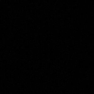 Meet your Posher, Lilly